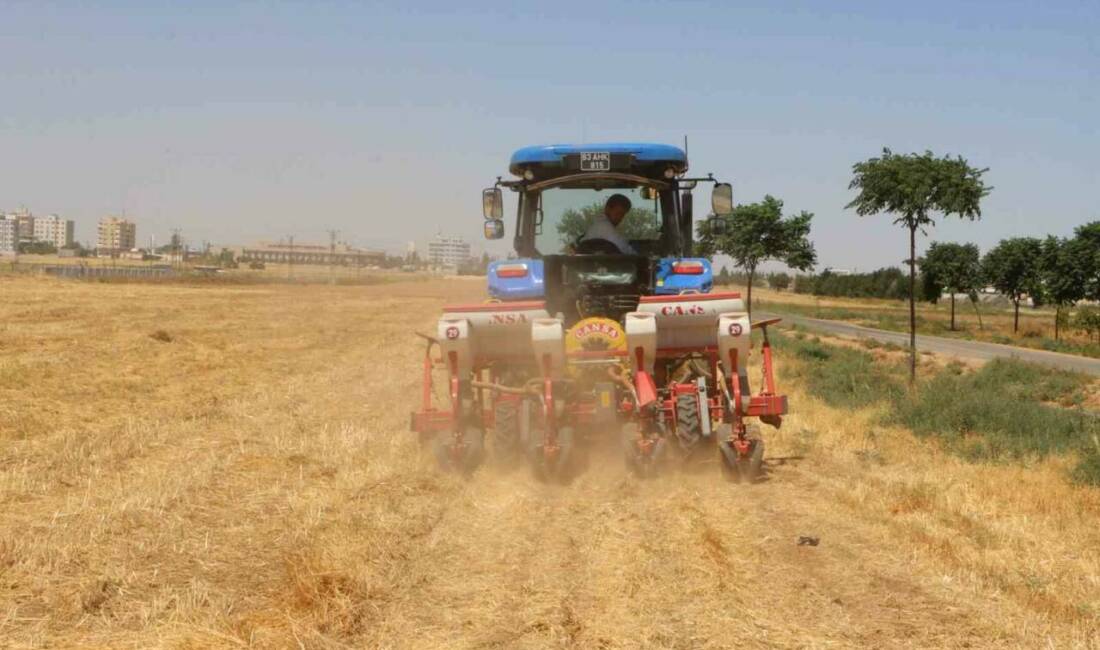 Şanlıurfa Büyükşehir Belediyesi, GAP Tarımsal Araştırma Enstitüsü iş birliğiyle sürdürülebilir