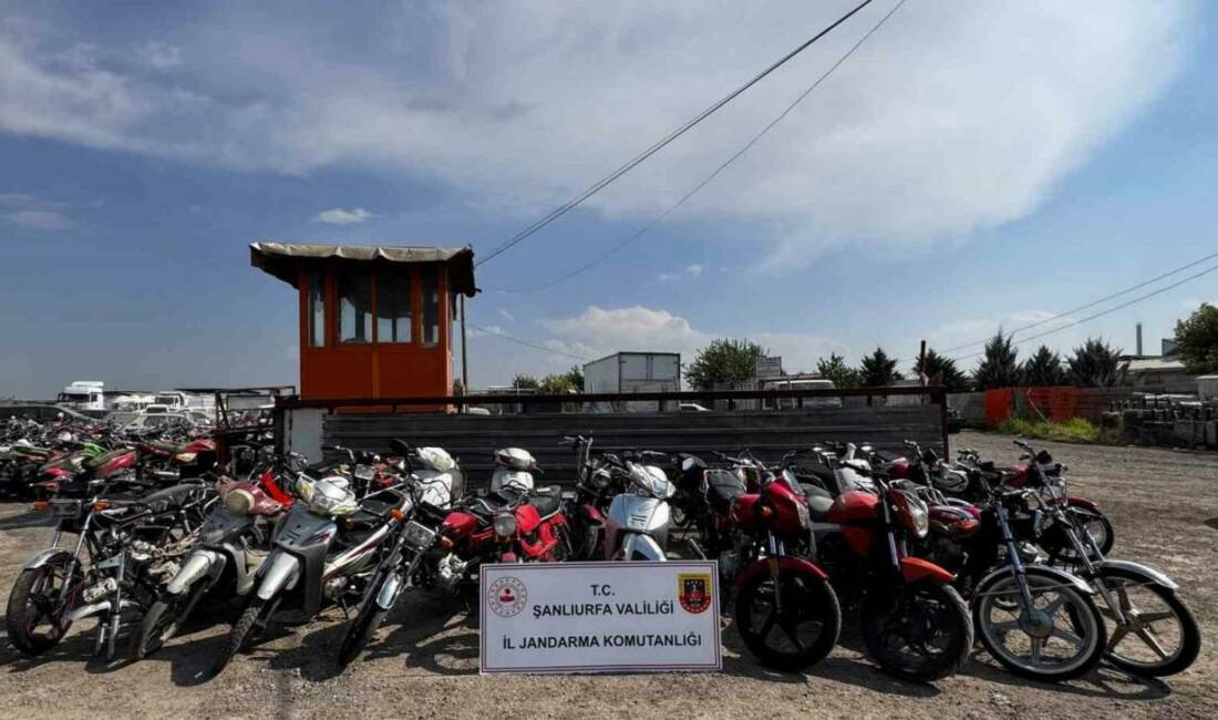 Şanlıurfa’da motosiklet hırsızlığı operasyonu: 7 gözaltı Şanlıurfa'da motosiklet hırsızlığı yapan ve şase numaralarını değiştirerek satışını gerçekleştiren