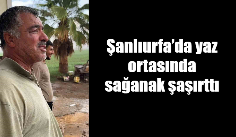 Şanlıurfa'nın Ceylanpınar ilçesi ve kırsal mahallelerinde yaz ortasında meydana gelen