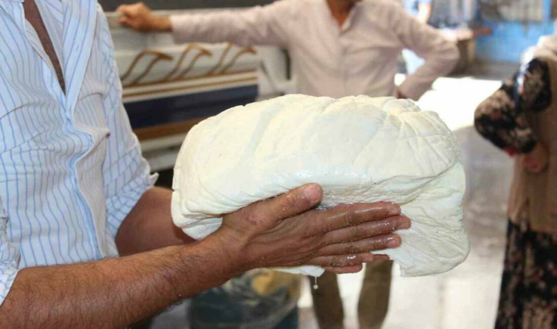 Siirt’te peynir sezonunda üretim ve talepte artış yaşanıyor. Siirt peyniri,