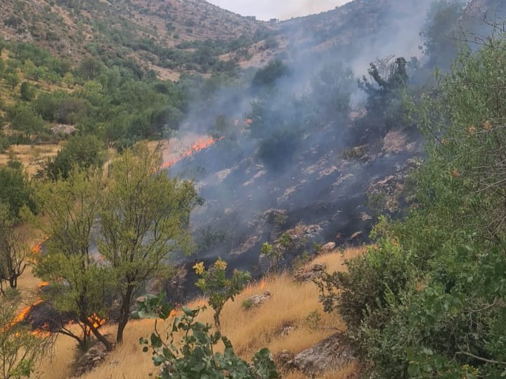 Eruh ilçesindeki yangında, Çırav Dağı eteklerinde 2 dönümlük arazi zarar