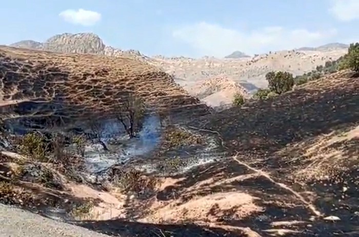 Şırnak'ın Silopi ilçesine bağlı Çalışkan beldesinde tarım arazilerinde çıkan yangın,