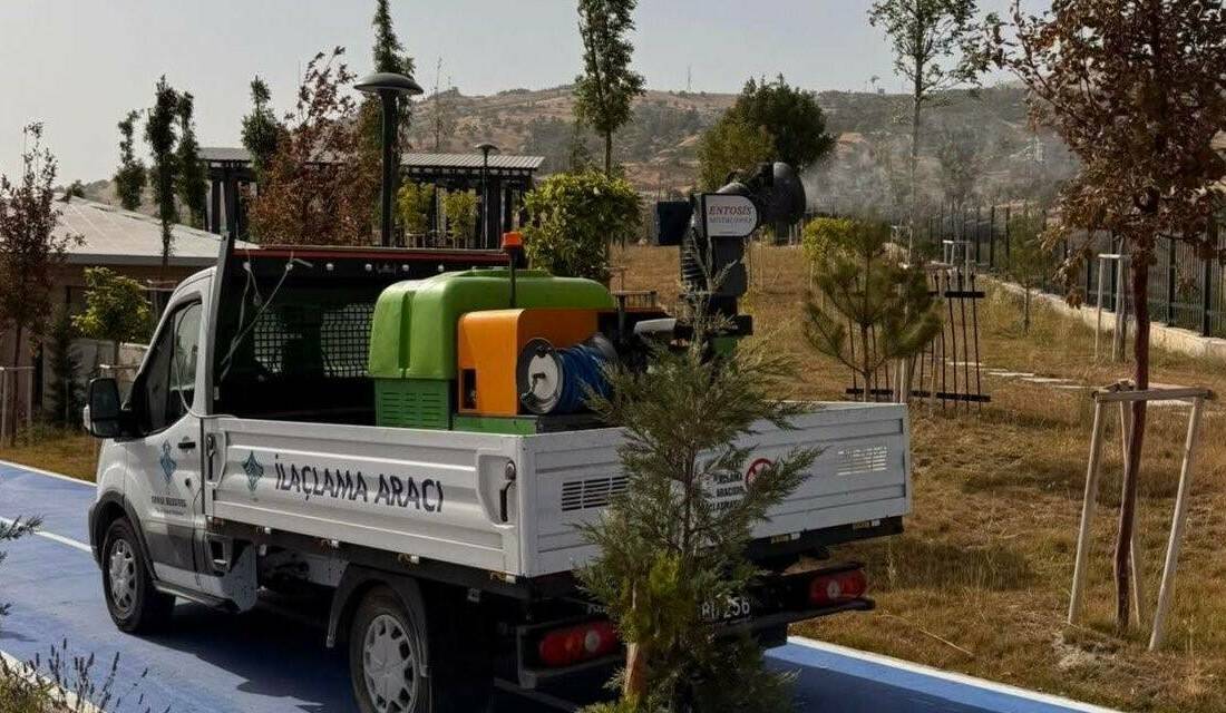 Şırnak Belediyesi Veteriner İşleri Müdürlüğü, haşerelere karşı ilaçlama çalışması başlattı.