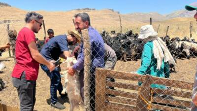 Şırnak İl Tarım ve Orman Müdürlüğü tarafından Güneyçam köyü Peri