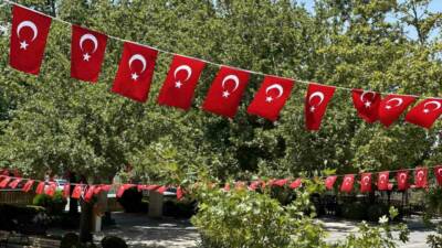 Siverek ilçesinde Cumhurbaşkanı Erdoğan'ın "Terörsüz Türkiye" çağrısına uyularak cadde ve