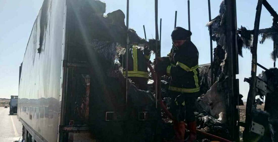 Şanlıurfa'nın Siverek ilçesinde seyir halindeki gıda yüklü tırın dorsesinde çıkan