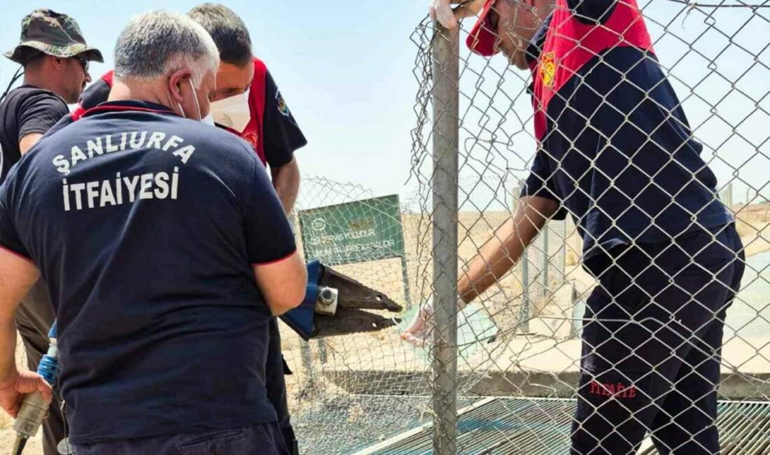 Şanlıurfa'da sulama kanalına düşen ve kaybolan Mehmet Fatih Yıldız’ın cesedi,