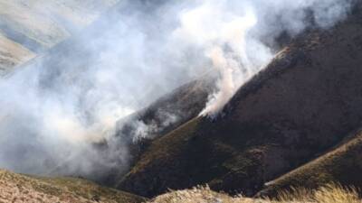 Adıyaman’ın Sincik ilçesindeki Türk Dağında bulunan Teşikan yaylasında çıkan yangın