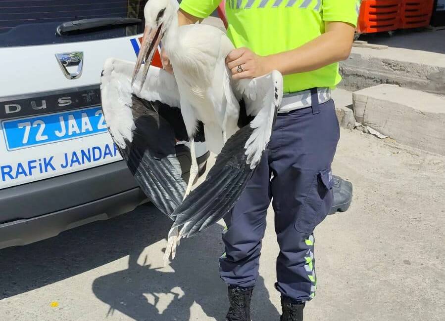 Kozluk ilçesinde jandarma trafik ekipleri tarafından yapılan yol denetimlerinde radar