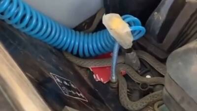Siirt’in Kurtalan ilçesinde bir çiftçinin traktörüne giren yılan korku dolu