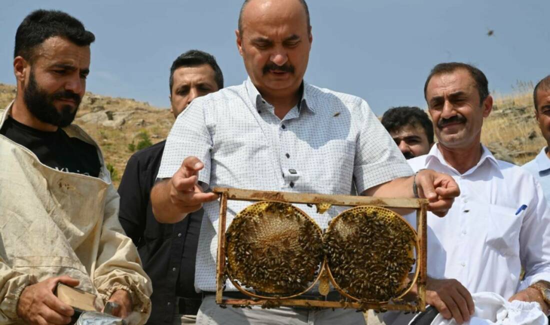 Batman Valisi Ekrem Canalp, Sason ilçesinde bulunan Topluca köyü Cobet