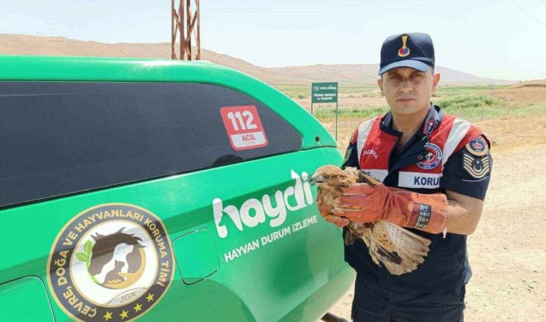 Batman İl Jandarma Komutanlığı, Beşiri İlçesi Tepecik köyünde yaralı bir