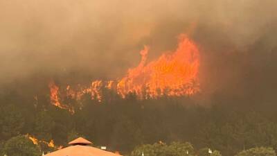 Besni’ye bağlı Terbizek Köyü karşısındaki ormanlık alanda başlayan Yangın kontrol