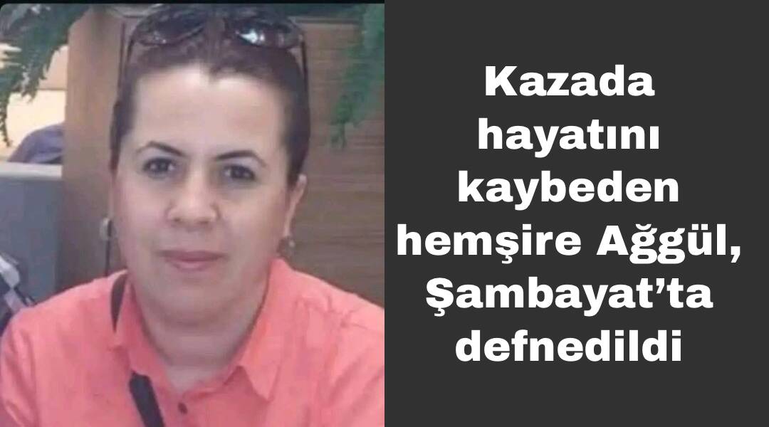 Diyarbakır gezisinden dönen sağlık çalışanlarını taşıyan aracın kaza yapması sonucu