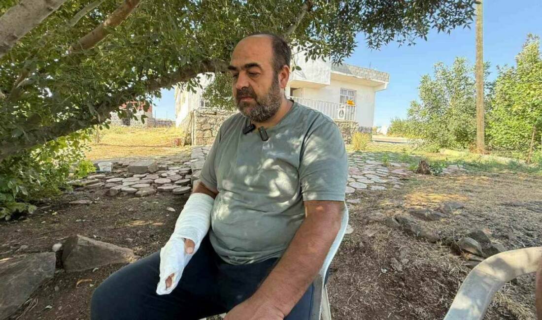 Bağlar ilçesinde kaybolan Narin Güran'ın cesedi dere kenarında bulundu. Babası
