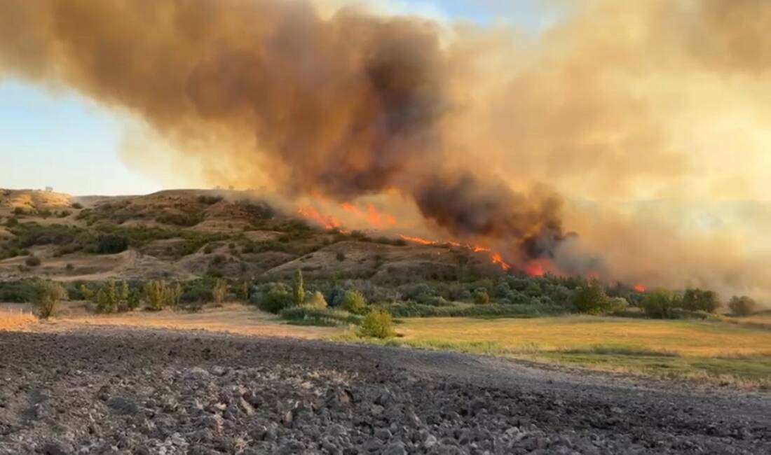 Adıyaman'da anızlık alanda çıkan ve bahçelere sıçrayan yangın, karadan ve