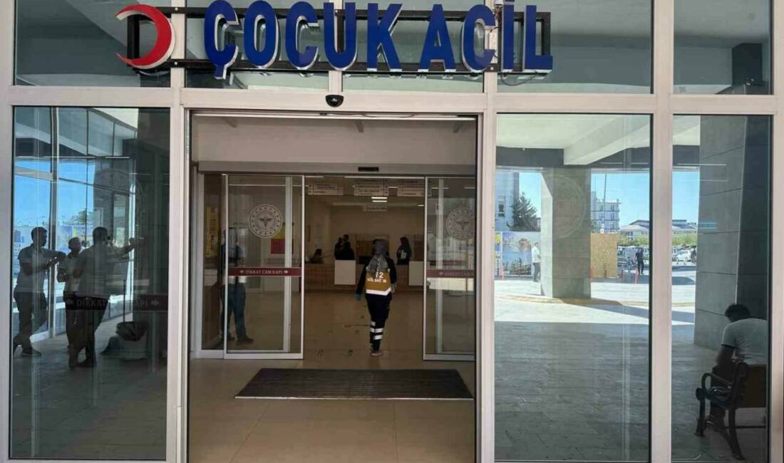 Adıyaman'ın Yeşilyurt Mahallesi'nde 8 yaşındaki Abdullah C., park halindeki bir