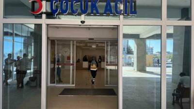 Adıyaman'ın Yeşilyurt Mahallesi'nde 8 yaşındaki Abdullah C., park halindeki bir