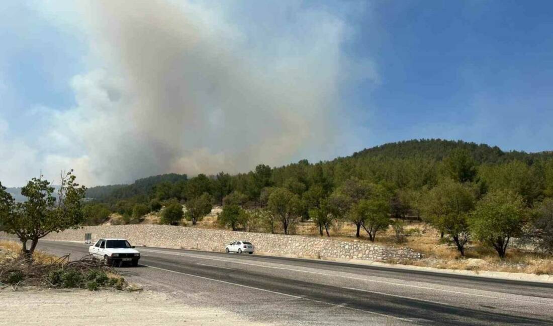 Adıyaman'ın Besni ilçesine bağlı Atmalı köyü yakınlarında çıkan orman yangını,