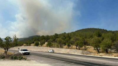 Adıyaman'ın Besni ilçesine bağlı Atmalı köyü yakınlarında çıkan orman yangını,