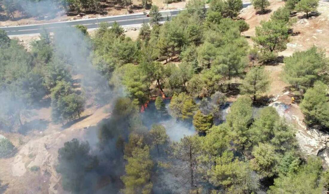 Adıyaman'ın Fatih Mahallesi'nde çıkan anız yangını ormanlık alana sıçradı ve