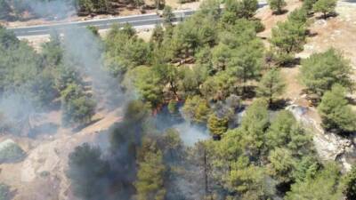 Adıyaman'ın Fatih Mahallesi'nde çıkan anız yangını ormanlık alana sıçradı ve