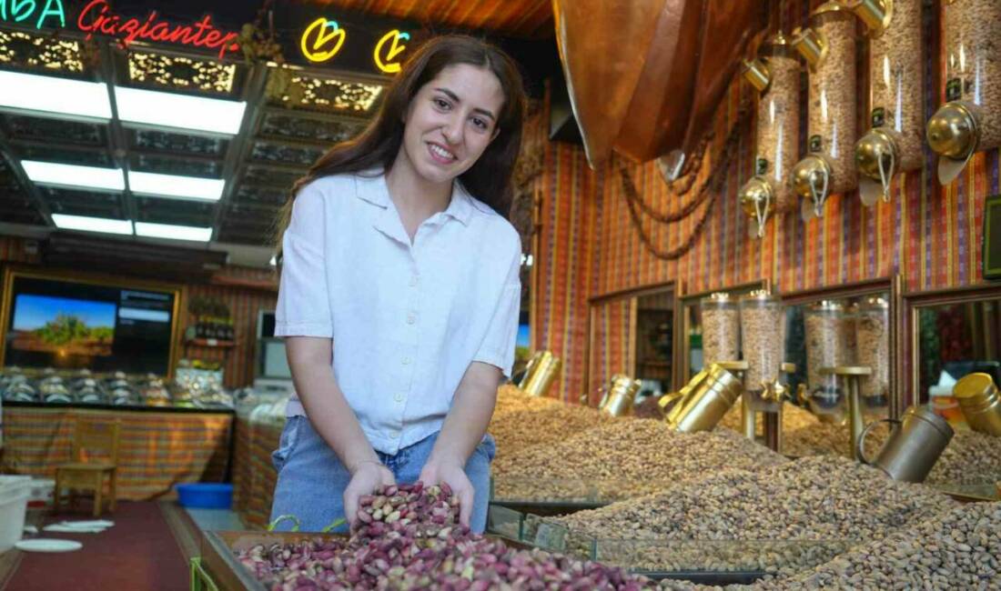 Antep fıstığının kilogram fiyatı cep yakıyor Gaziantep'te bu yıl Antep fıstığı hasadı düşük verimle gerçekleşti. Fiyatlar