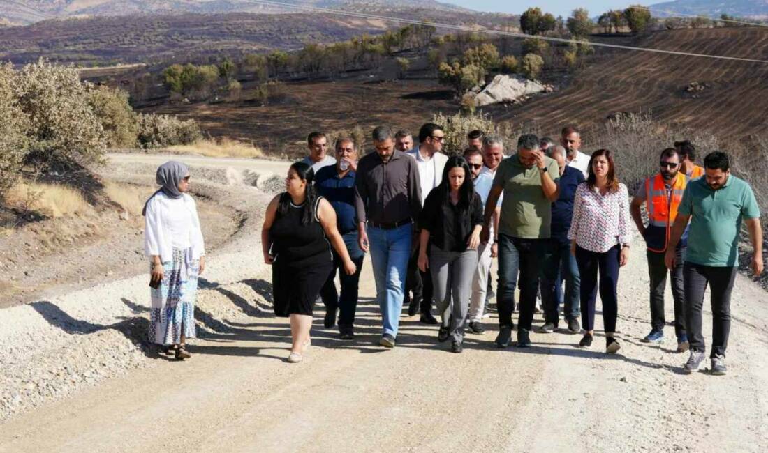 Diyarbakır Büyükşehir Belediyesi Başkanı Serra Bucak, Lice ilçesinde 2 mahalleyi