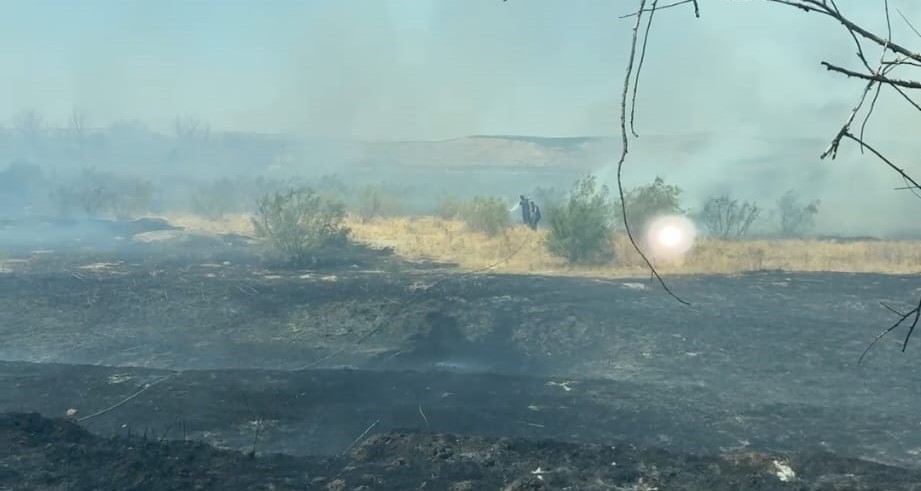 Batman'ın Balpınar beldesindeki tarlada çıkan anız yangını, itfaiye, TOMA ve