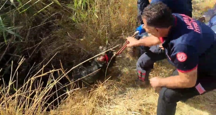 Batman'da 5 metre derinliğindeki kuyuya düşen keçi, itfaiye ekipleri tarafından