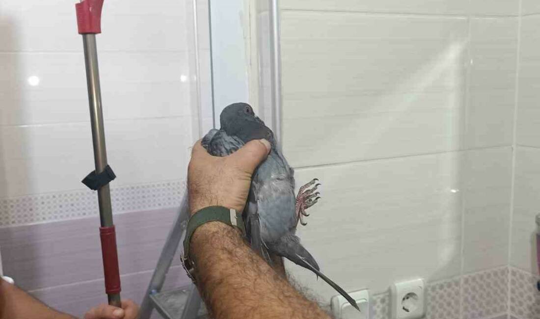 Batman’ın Gültepe Mahallesi'nde bulunan Semanur Sitesi'nde yaşanan olayda itfaiye ekipleri