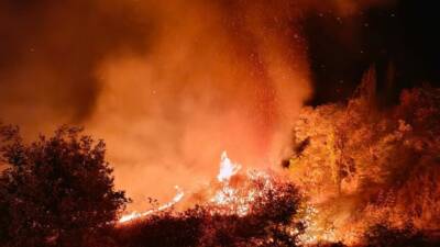 Besni ilçesinin Yukarı Sarhan Mahallesi Bedirse Mevkii’nde 4 farklı noktada