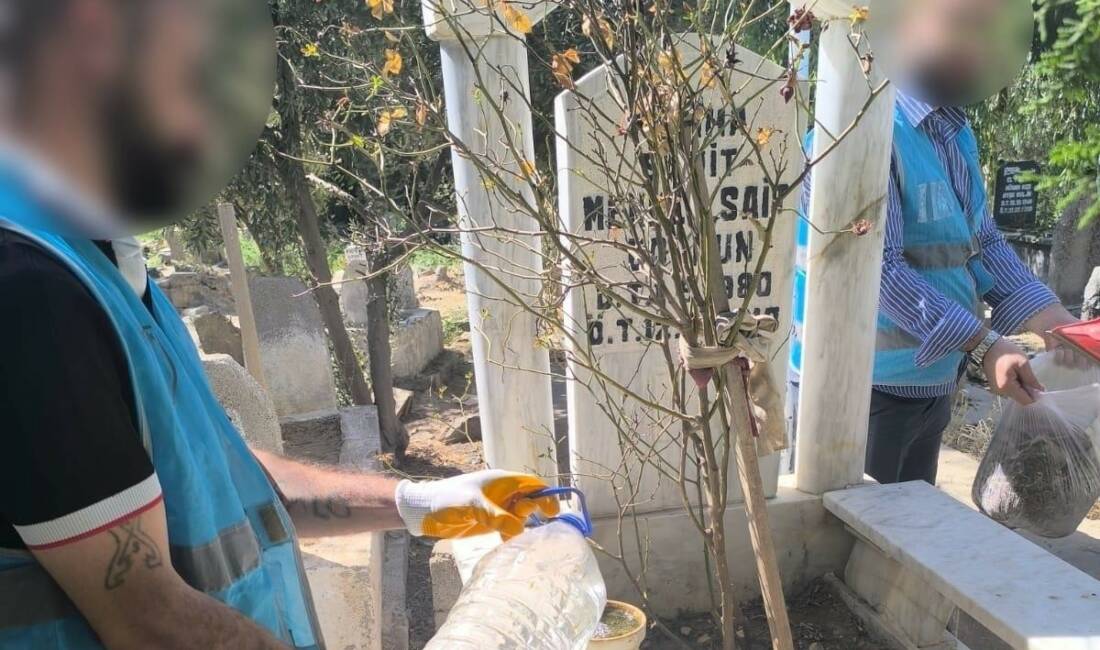 Cizre'de denetimli serbestlik tedbiri altındaki yükümlüler, Şehitlik Anıtı ve Parkı