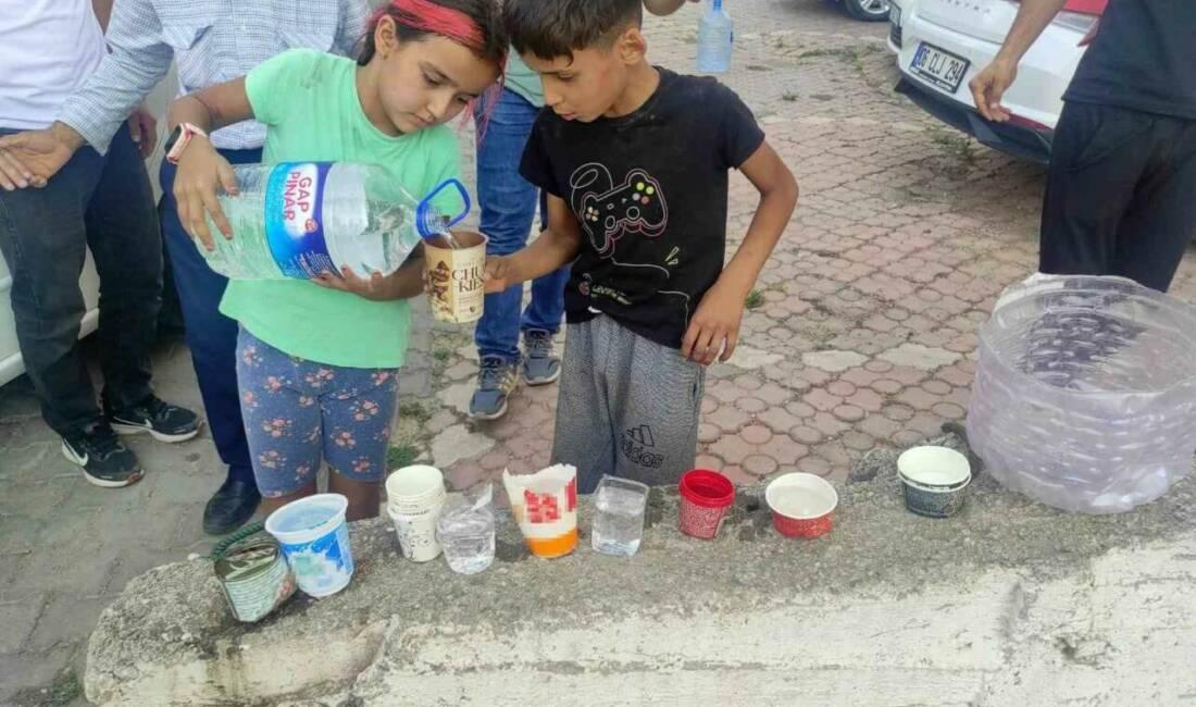 Batman’ın Sason ilçesinde çocuklar, sokaktaki hayvanların sıcak havalardan etkilenmemesi için