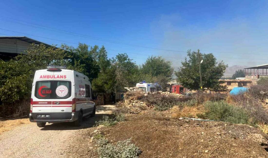 Diyarbakır'ın Hani ilçesinde bulunan Gömeç ve Gürbüz Mahallelerinde çıkan orman