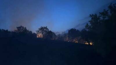 Silvan ilçesine bağlı Kazandağı Mahallesi Kalemli mezrasında ağaçlık alanda çıkan