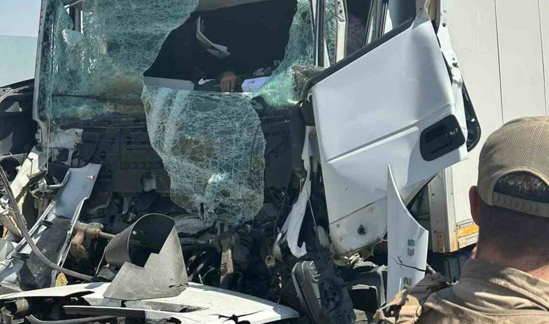 Silvan ilçesinde meydana gelen kazada tır sürücüsü yaşamını yitirdi. Kazaya