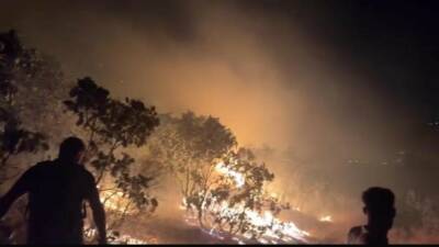 Silvan ilçesindeki Kazandağı Mahallesi'nde ormanlık alanda çıkan yangın, Diyarbakır Orman