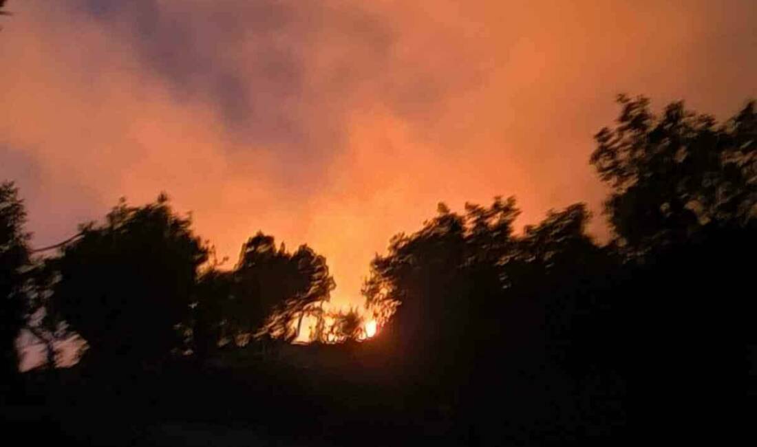 Diyarbakır’ın Lice ilçesindeki ormanlık alanda çıkan yangın, yetkililer tarafından kontrol