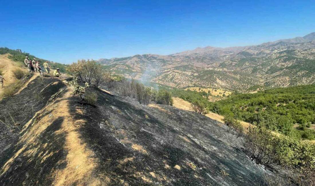 Diyarbakır’ın Lice ilçesinde çıkan örtü ve orman yangınları, ekiplerin müdahalesiyle