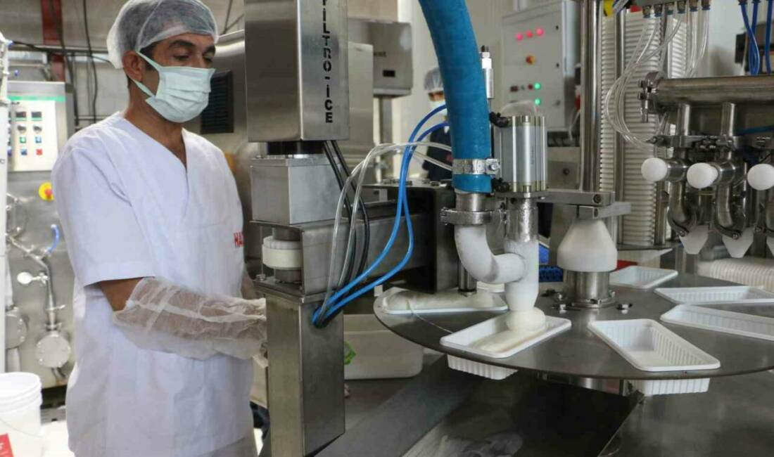 Diyarbakır'da faaliyet gösteren Hacıdo firması, 15 tonluk günlük üretim kapasitesiyle