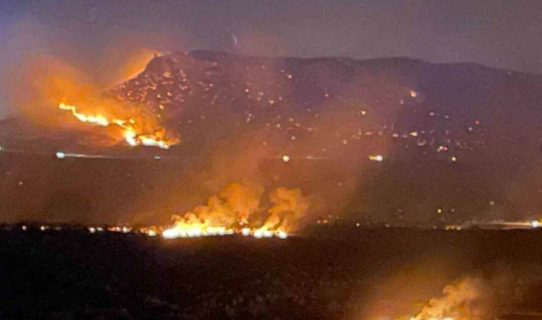 Diyarbakır'ın Lice ve Hani ilçelerinde çıkan orman yangını, ekiplerin müdahalesiyle