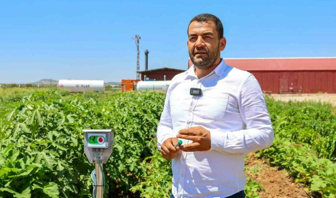 Gaziantep Büyükşehir Belediyesi'nin başlattığı "Ata Tohumları Kadın Çiftçilerin Elinde Yeniden