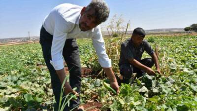 Şahinbey Belediyesi tarafından Gaziantep’te çiftçilere ücretsiz olarak dağıtılan domates, patlıcan