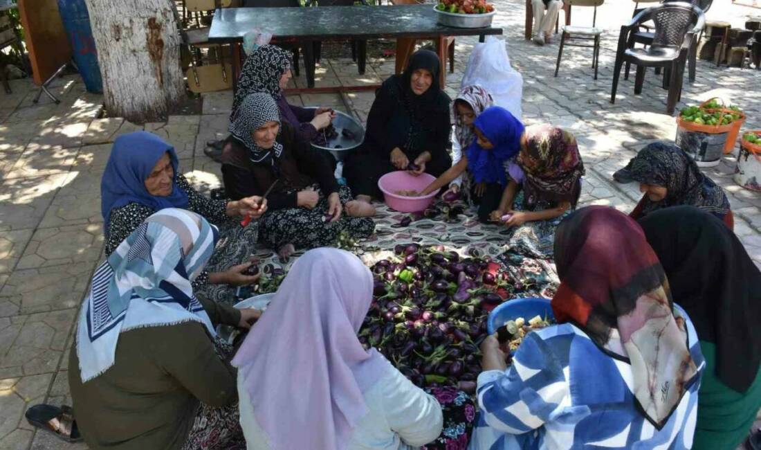 Gaziantep'in Şahinbey ilçesinde imece usulüyle kış hazırlıkları tradition yaşatılıyor. Kadınlar
