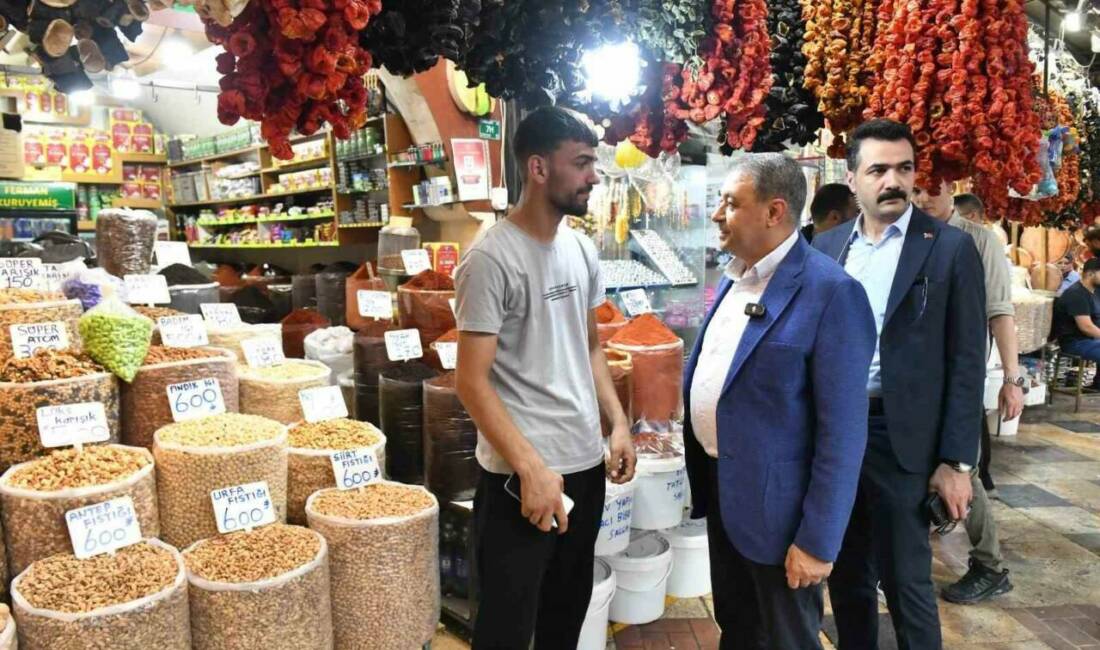 Şanlıurfa Valisi Hasan Şıldak, Haşimiye Meydanı ile Balıklıgöl çevresindeki iş