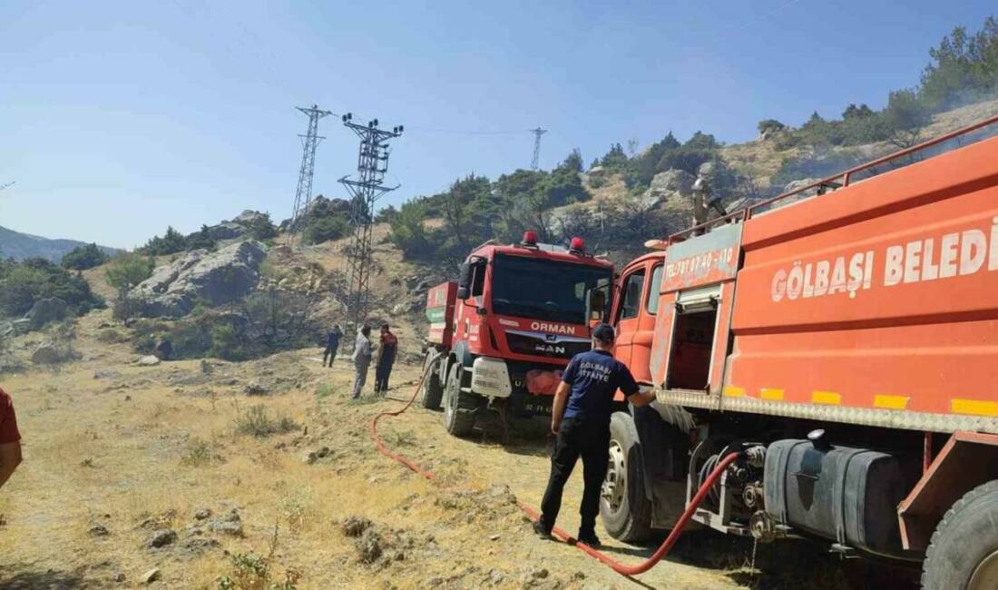 Adıyaman'ın Gölbaşı ilçesinde Aktoprak köyünde meydana gelen orman yangınında hızlı