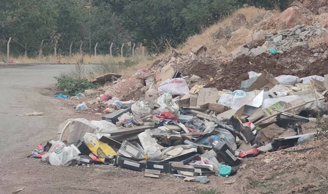 Adıyaman’ın Gölbaşı ilçesinde yol kenarlarına bırakılan evsel atıklar çevre kirliliği