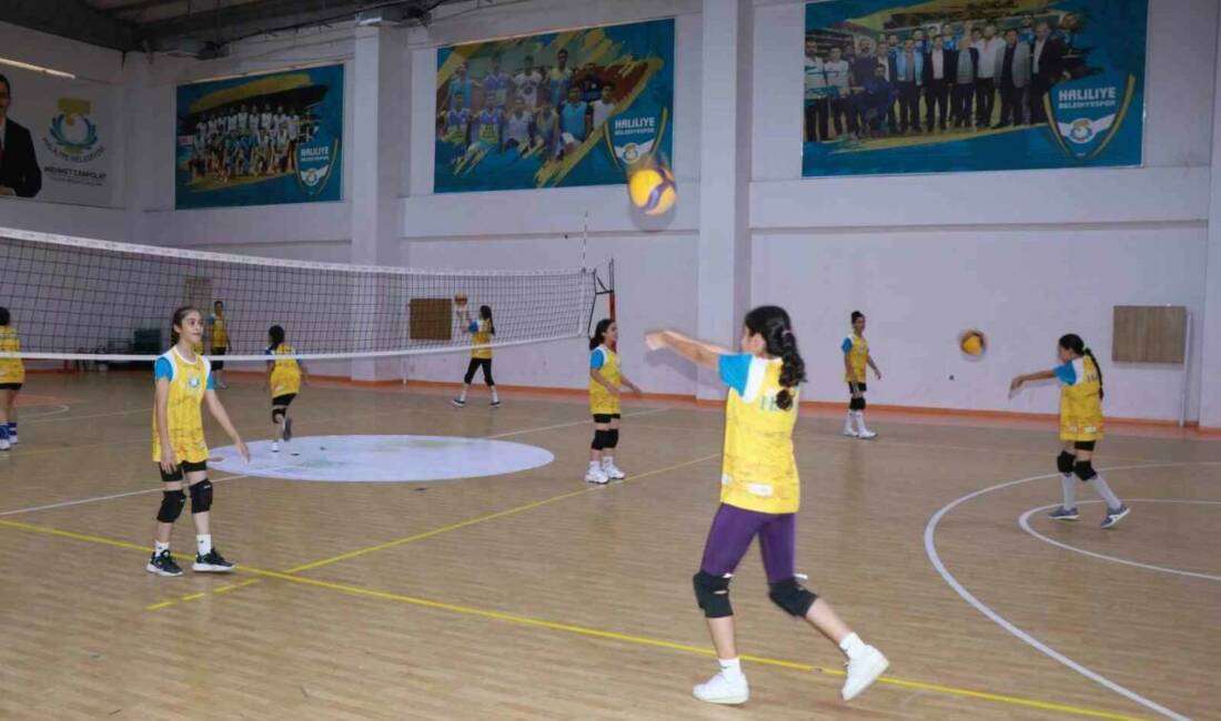 Haliliye Belediyesi, gençlere yönelik voleybol kursları düzenleyerek sportif gelişimlerine destek