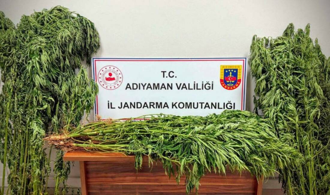 Jandarmadan uyuşturucu operasyonu: 9 gözaltı Adıyaman İl Jandarma Komutanlığı ekipleri, uyuşturucu satıcılarına karşı operasyon düzenledi